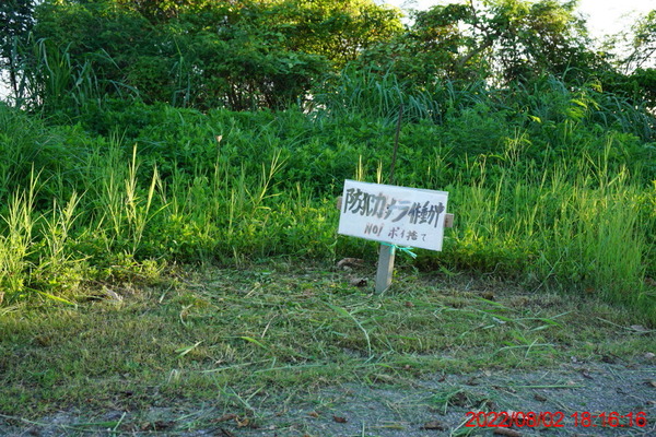 DSC00838_1