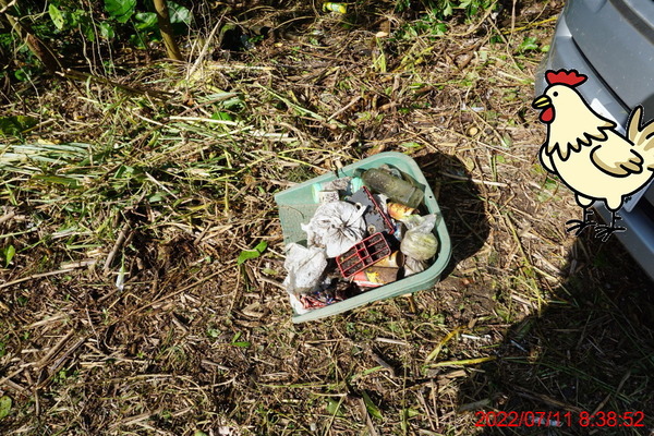 DSC00704_1