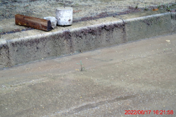 DSC03210_1