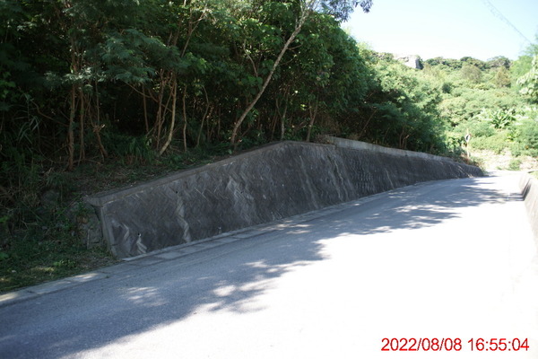 DSC02950_1