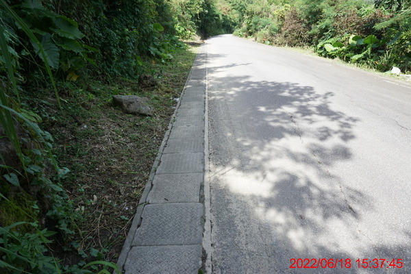 DSC00601_1