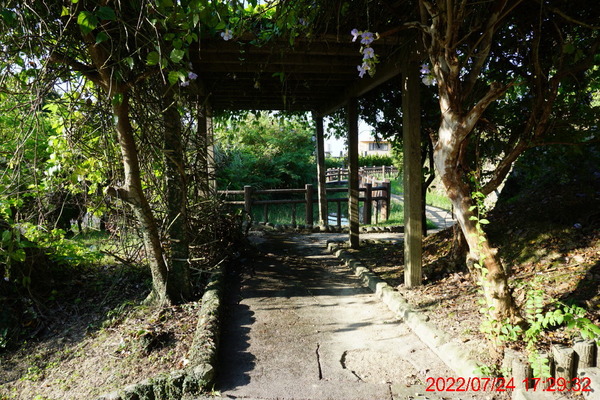 DSC00789_1