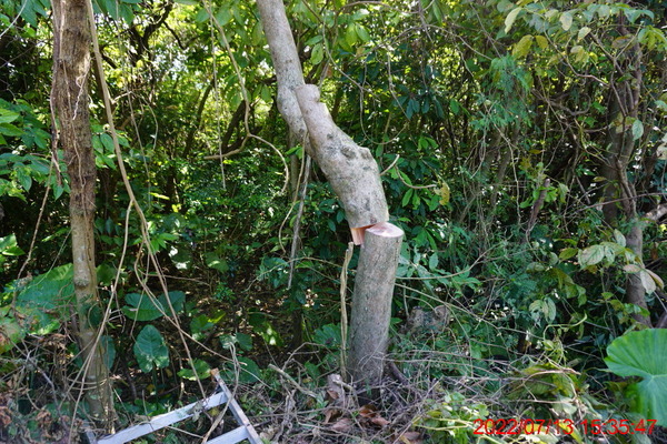 DSC00723_1