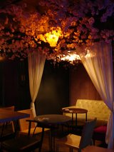 sakura�ǥ����ᣲ