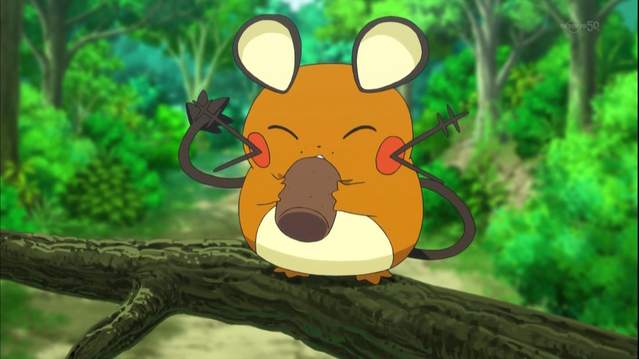 ポケモンxy総合 かもめ速報 ポケモンxy総合 かもめ速報