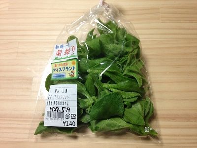 新食感 アイスプラント 面白い野菜です あんちゃんちの夕食
