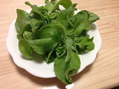 新食感 アイスプラント 面白い野菜です あんちゃんちの夕食 新食感 アイスプラント 面白い野菜です あんちゃんちの夕食