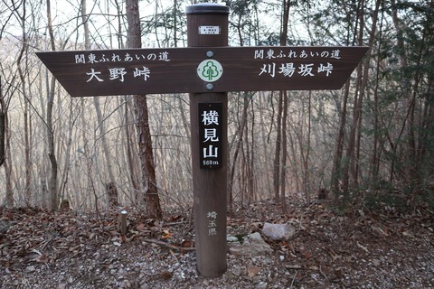 IMG_6690_R