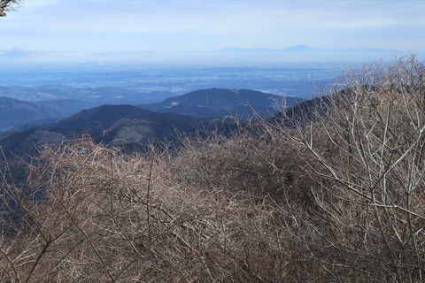 IMG_6694_R