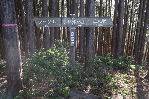 IMG_6704_R
