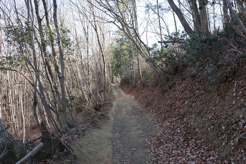 IMG_7997_R