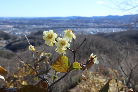 IMG_8018_R