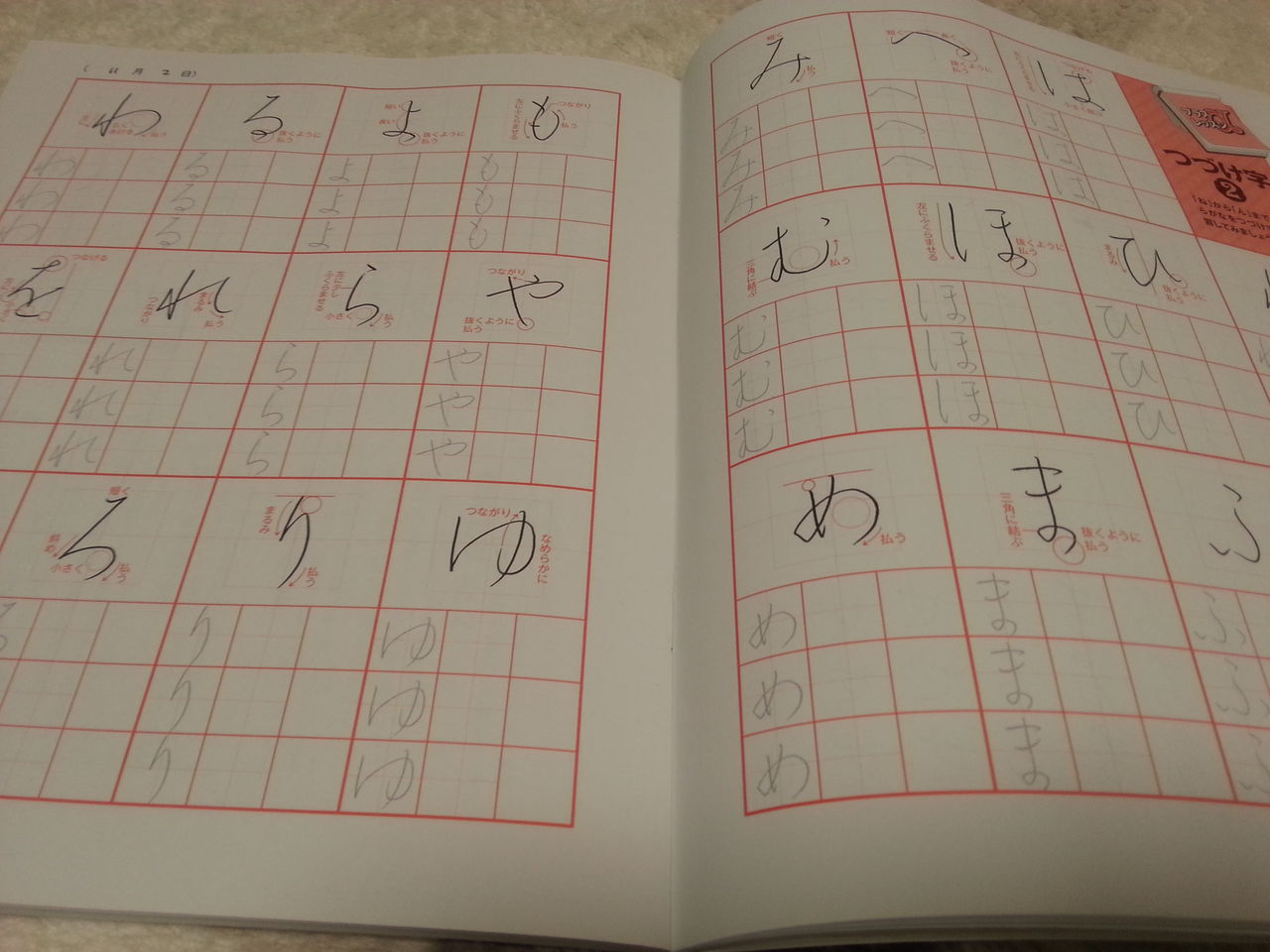 くせ字がきれいになおる 大人のペン字練習記録 プラスaレッスン アラフォー姉弟 あべこべ高知生活