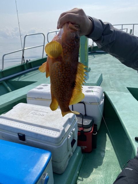 59A2F9CA-C5CD-4424-9594-F990CA0FC46A