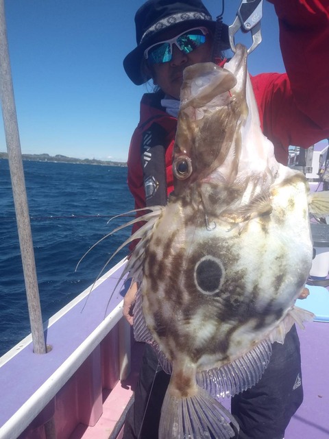 726E6158-B87B-49AF-AD75-884697E34CDA