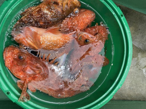 37A02E15-CB5D-4384-AC79-AC86178A84F8