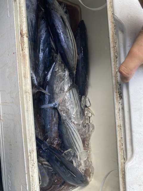 99EEBA52-FA46-4410-B53F-9DBEB5B1AA48