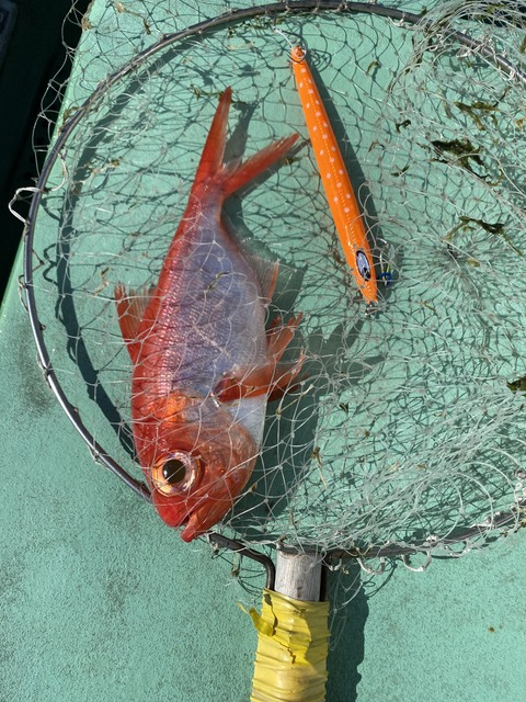 AE6906C9-D957-4AB8-8FC4-E5B96116464B