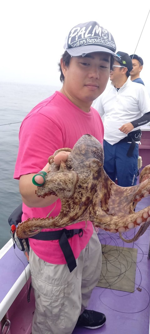 C4926871-6B8A-4929-9602-8F766FB27828