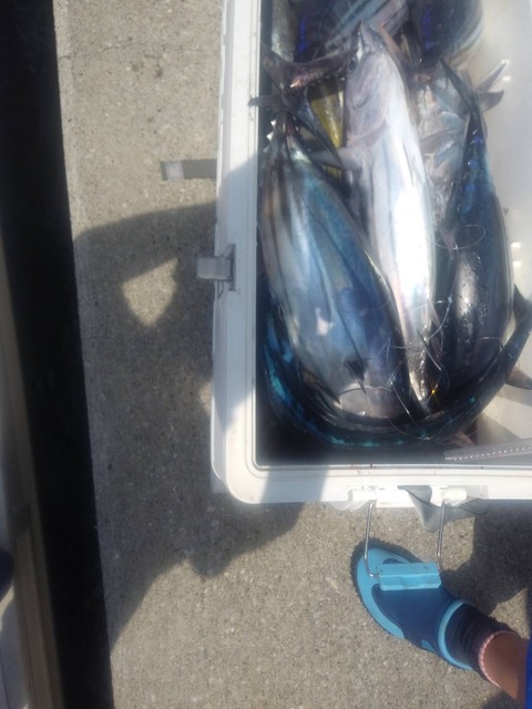 26118E35-940D-492E-9448-EE6B191B6CB9