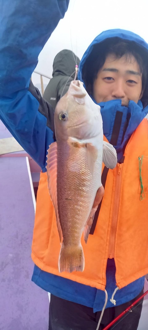 D57D1A43-B450-43C5-99F0-A972F89B624C