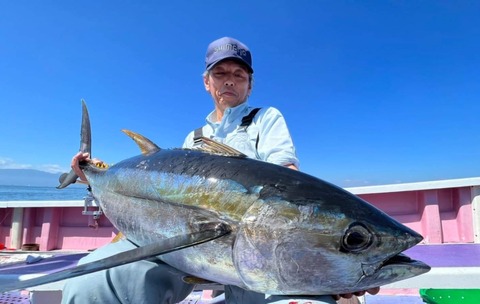 8F85E520-060B-4FEE-88D6-F7D66C00E33E