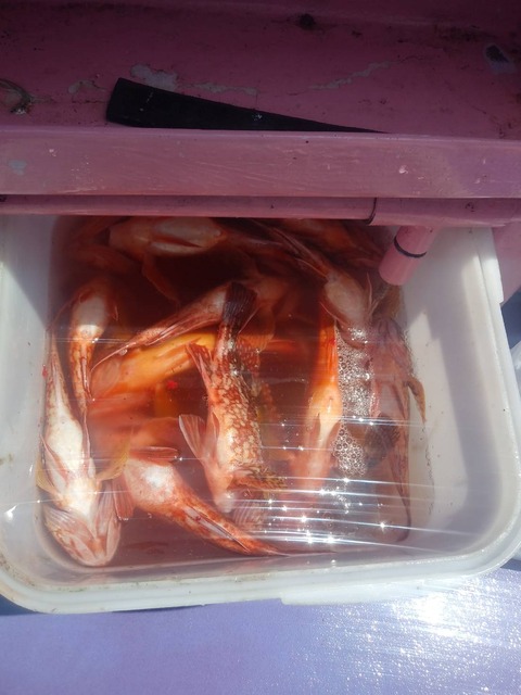 AB31629E-8750-4083-8F30-C1C38BDDF67B