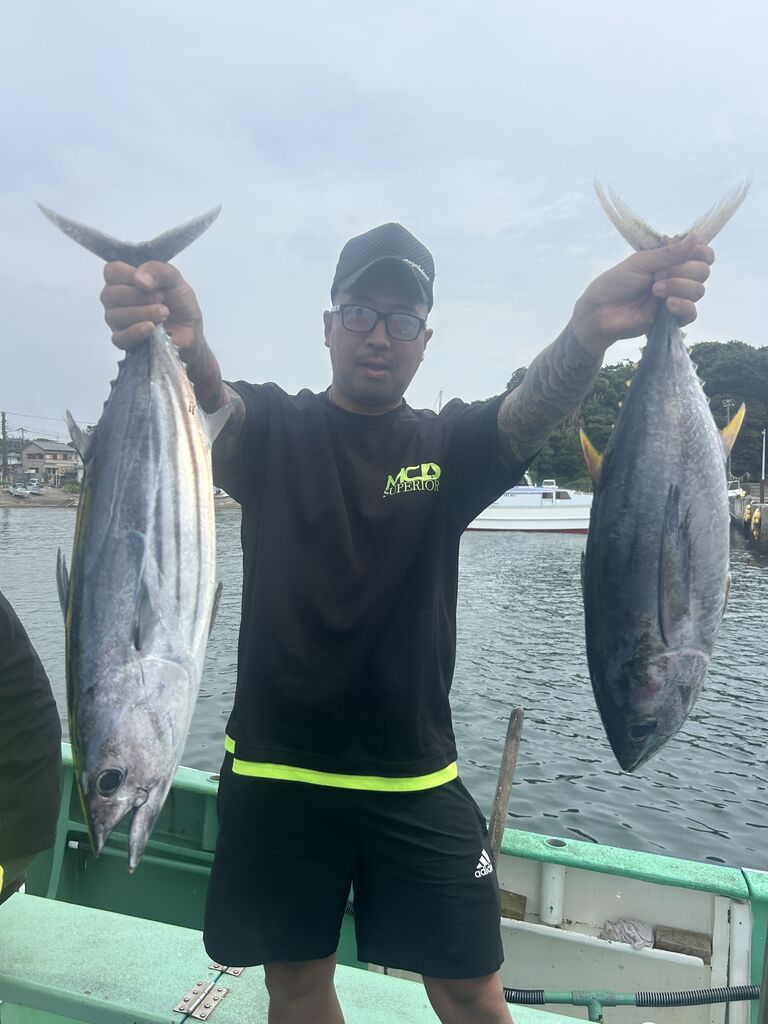 イワシの泳がせ マグロ : 昇丸の釣果速報