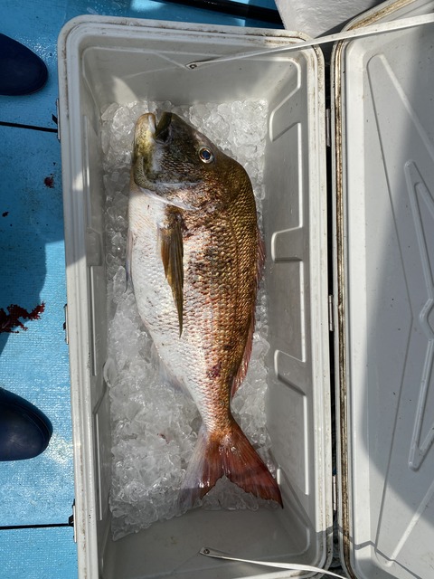 4B7015E8-CE65-413B-A3F6-7CB5ACCBACCD