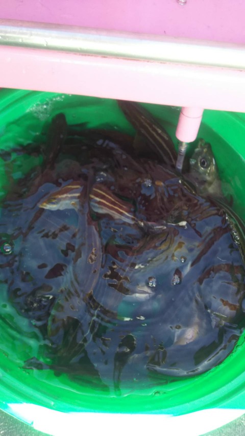 F221F32D-49D5-4FD2-AF47-FD116B669611