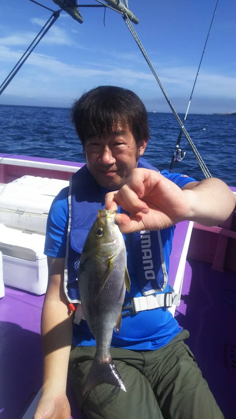 C56B258E-895F-4B1D-9A69-9D93B42EA317