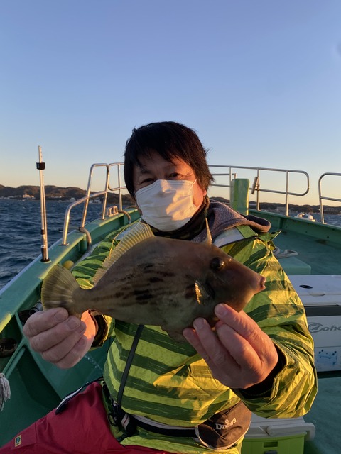 941B3D06-73CE-4B61-AE32-40AEEC00B0FF