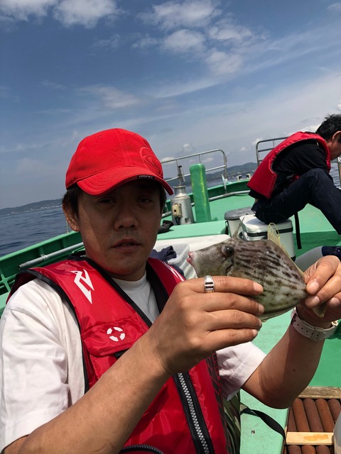 8b96d52e.jpg