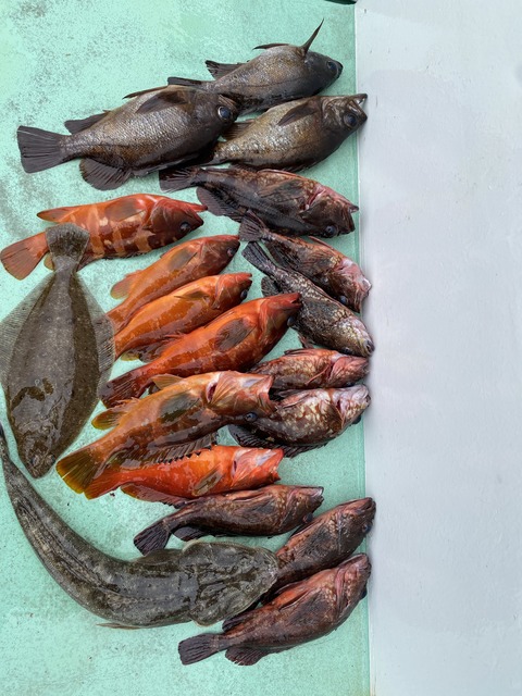 F5871D63-D38D-4E32-A46D-A06945879269