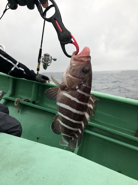 C7ED0E18-1A8E-4726-8F22-0C378FCEAFA6