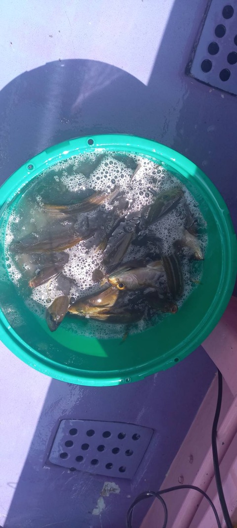 810EC158-705B-4DC0-BDFF-7DD74A781FAA