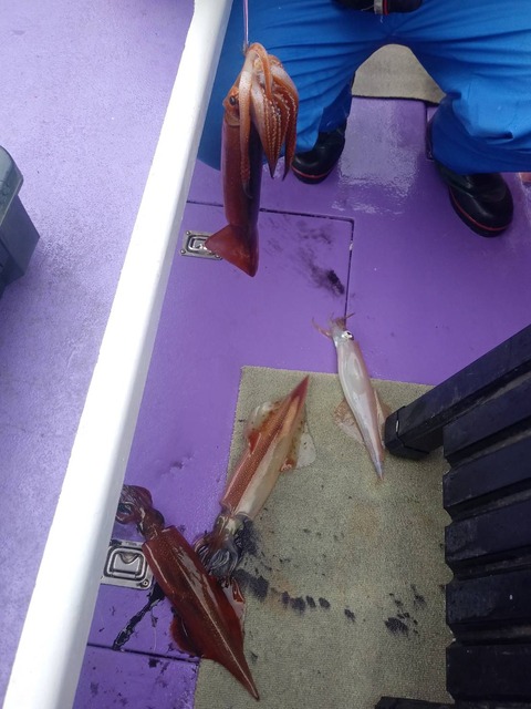 2402136B-05FC-473A-AAC4-F4B22E9C4698