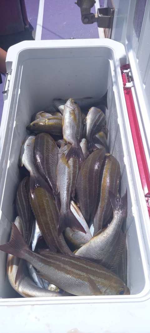 06CAEA90-9E29-4C63-A23D-0A2B5CAF4AEC