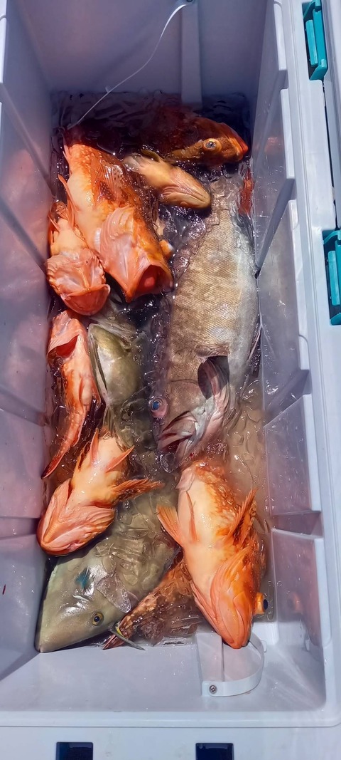 0A72E33A-386A-492C-A7DA-D62B92F96597