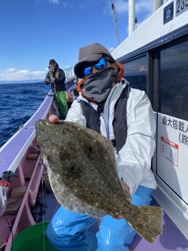イワシの泳がせ 昇丸の釣果速報