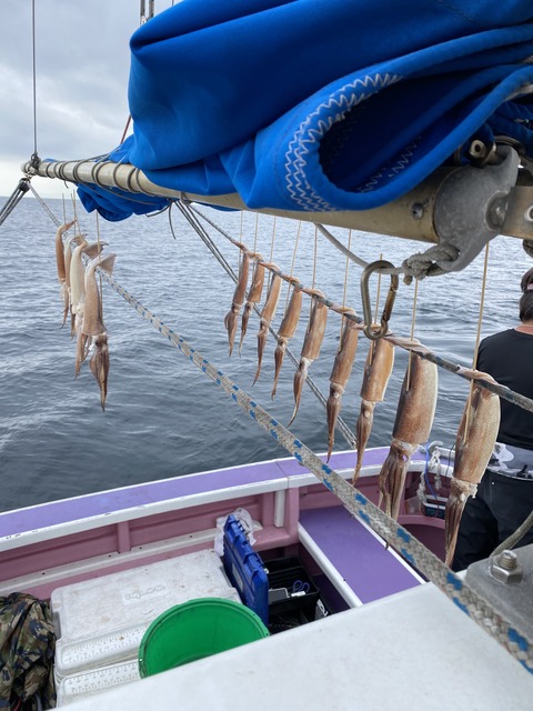 4963AF11-845F-40A6-877F-C5FEB989D4FA