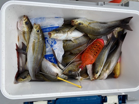 3FA8E0EA-FC20-4207-B8AD-ED3F5B4511DB