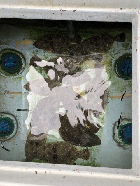 3248B707-7A6D-4187-9733-689ACE7C6A58