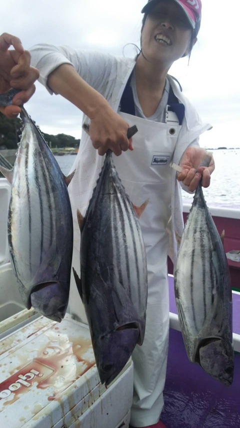 391E253B-29B1-4DFD-AF6E-C4A87D922AFE