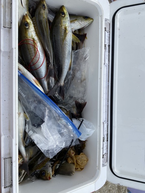 32C1F681-0FDC-4A1B-B9FF-E4197F35A13E