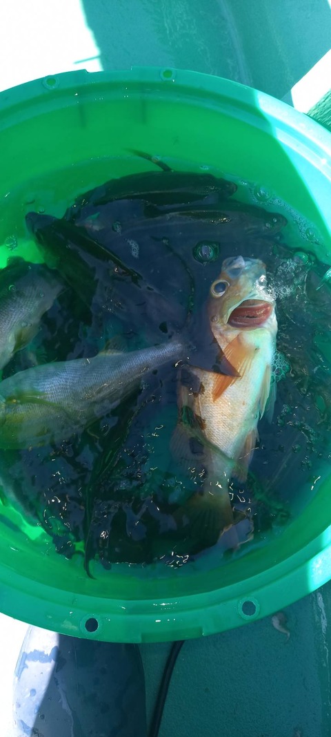 1371EFAA-4794-473B-A95C-18E09842D9E6