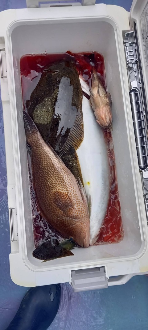 87BC6990-2C08-4E57-B839-CD248374307B