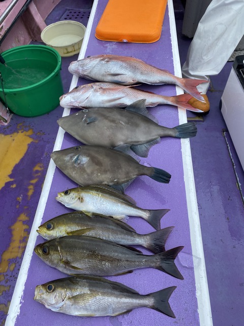 4B0D0C77-EAC0-429F-ADB6-A17F27591AFA