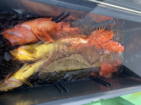 A5DD28F2-B7B7-4433-8590-51114CAE7783