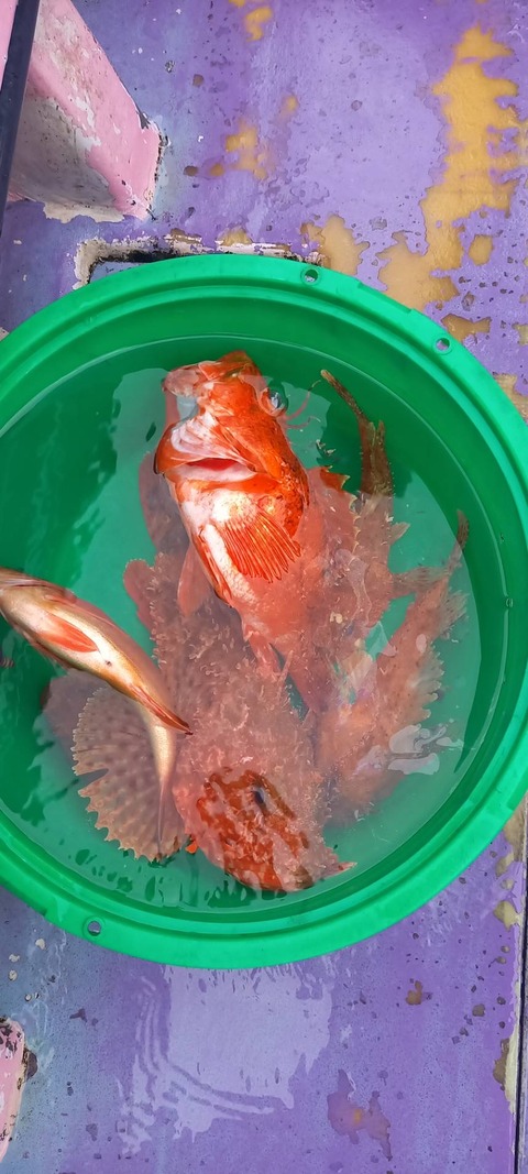 13B7308D-F52F-464B-B154-0F8F4D01AD84